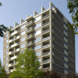 Groenesteinflat