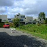 Veenhof - Woningen Eimerslocatie